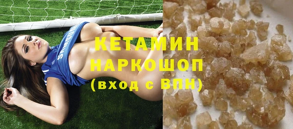 шишки Бородино