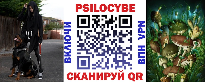 Псилоцибиновые грибы Cubensis  mega ONION  Краснознаменск 